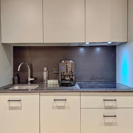 L'emeraude - Hypercentre Renove Grenoble