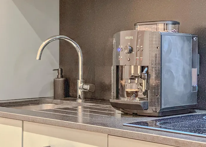 L'emeraude - Hypercentre Renove